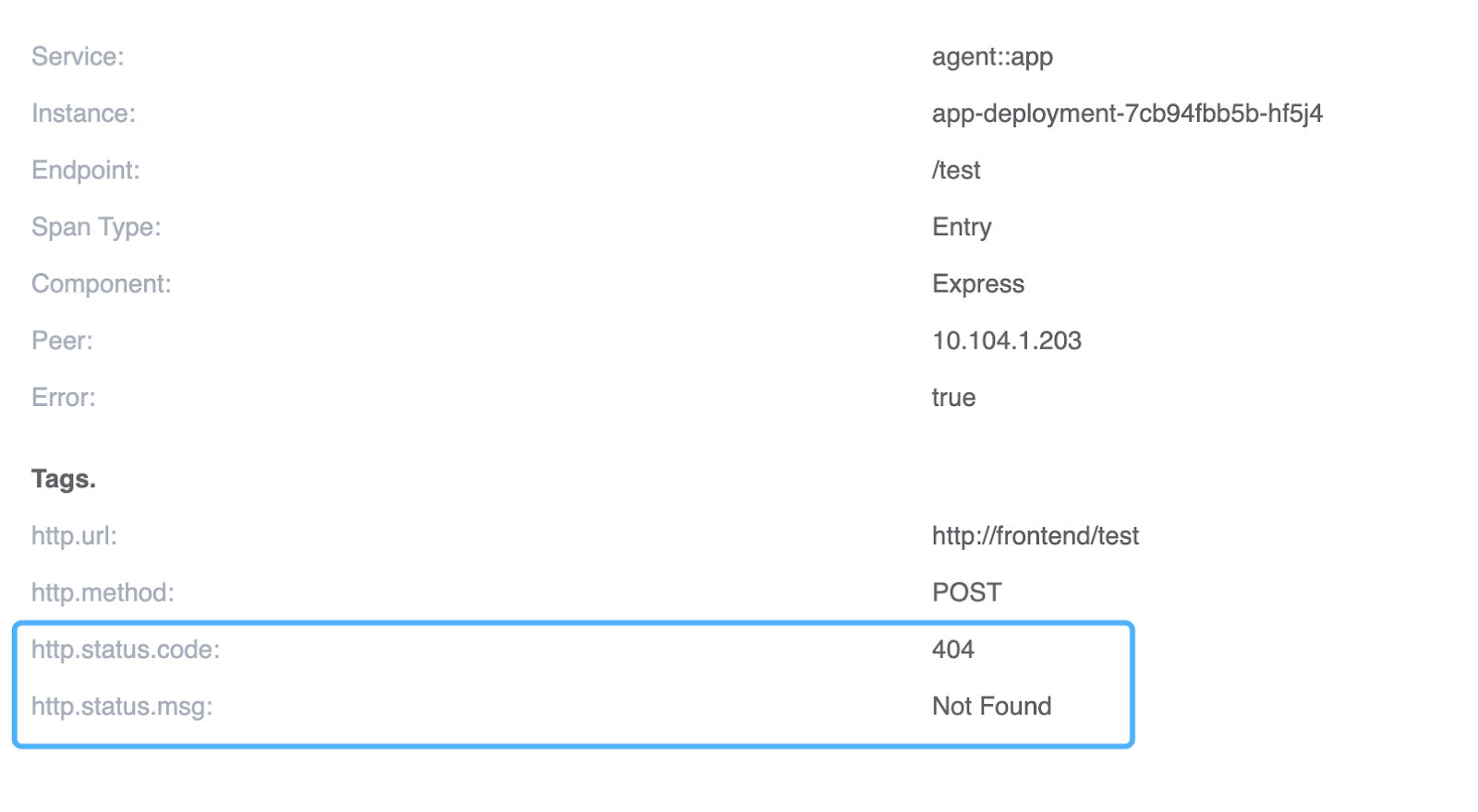 图 3:显示 URI 不存在的 http://frontend/test 请求的详细视图。